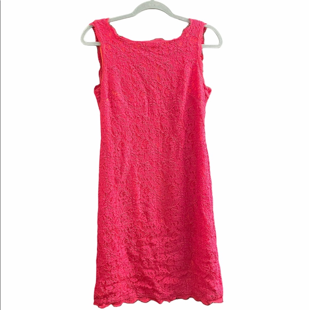 Adrianna Papell Lace Fuchsia Dress